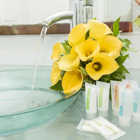 Viator - Gare De Lyon Hotell Paris