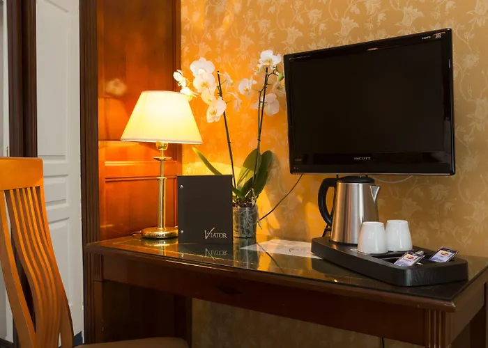 Viator - Gare De Lyon Parigi